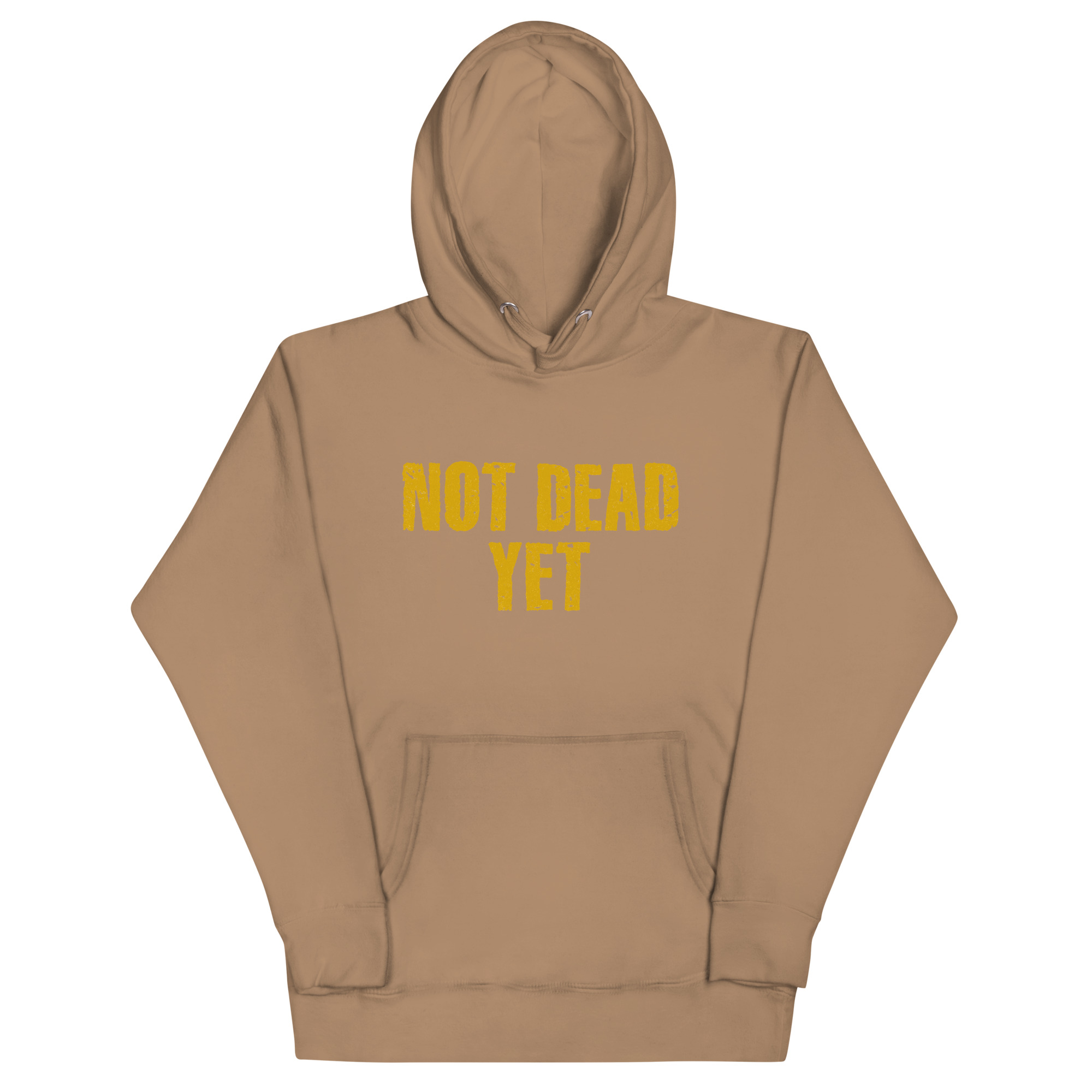 cotton-heritage-m2580-i-unisex-premium-pullover-hoodie-latte-front-690c22babb2ce.jpg