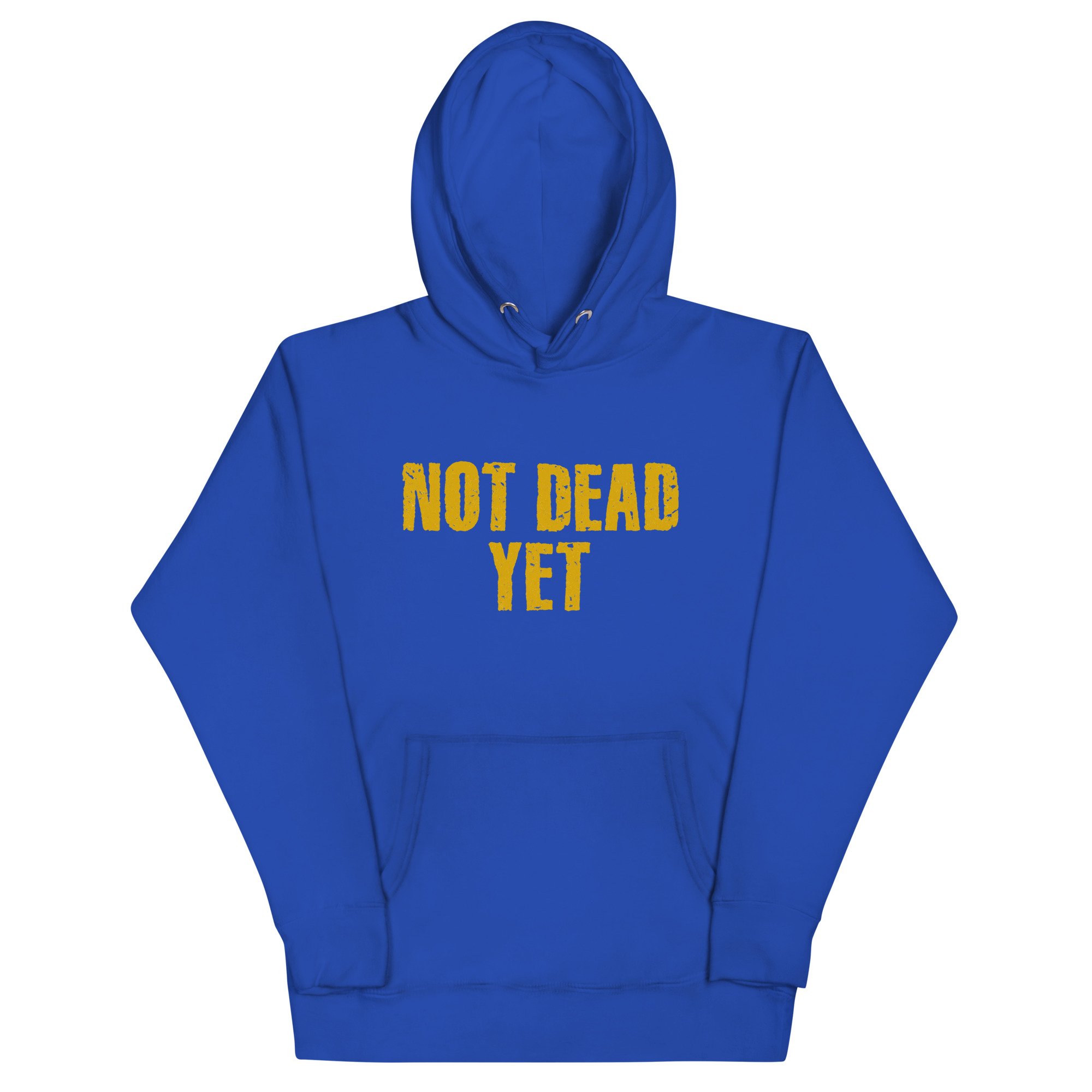 cotton-heritage-m2580-i-unisex-premium-pullover-hoodie-team-royal-front-690c22baa5aec.jpg
