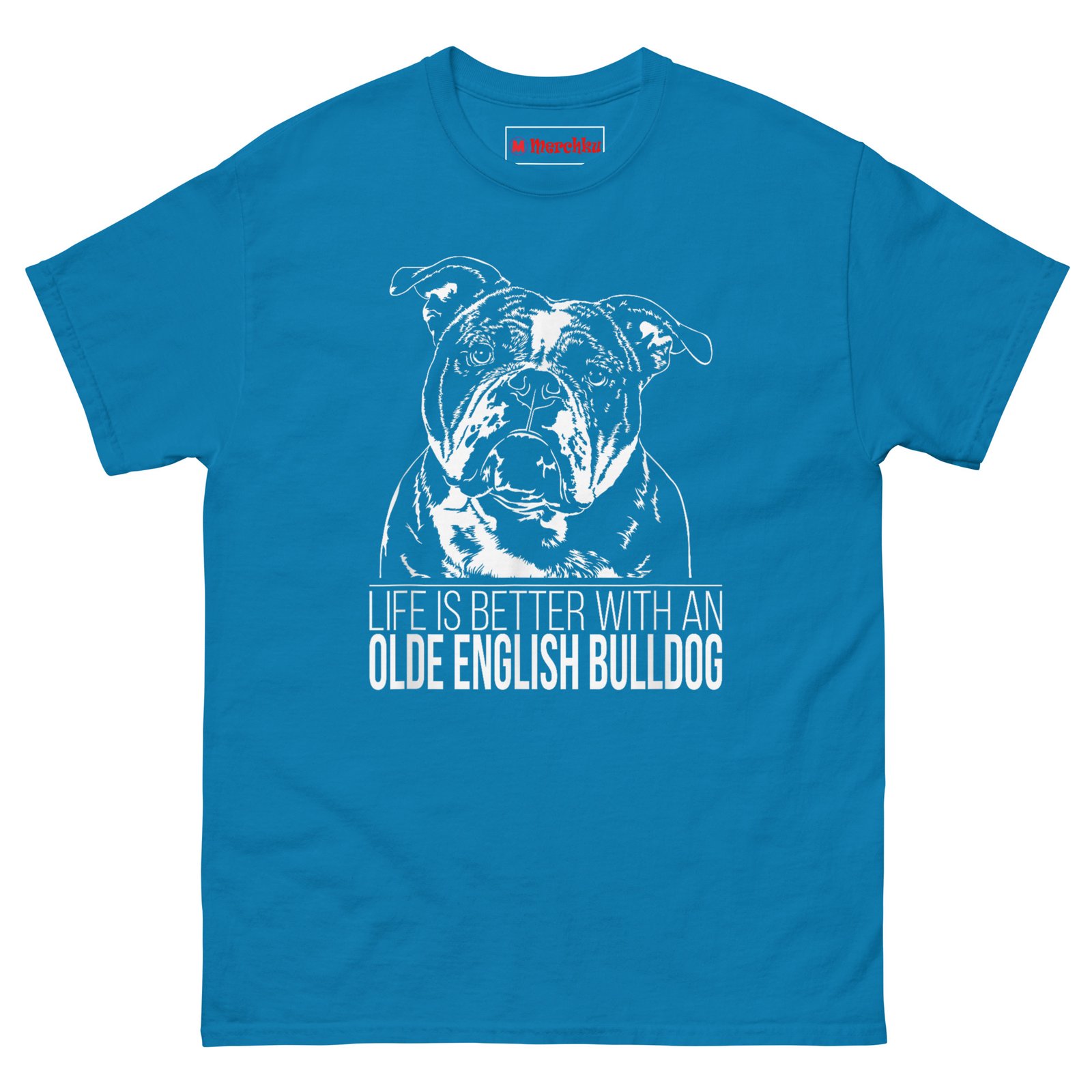 unisex-classic-tee-sapphire-front-6a2cc8242ef41.jpg